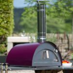 Wood Fired Pizza Oven manufacturers India